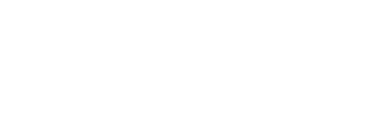 Logo IBOX303 Pro Animated GIF